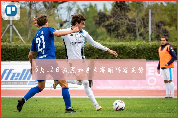 6月12日波黑加拿大赛前阵容走势