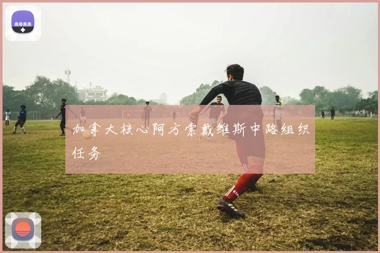 加拿大核心阿方索戴维斯中路组织任务