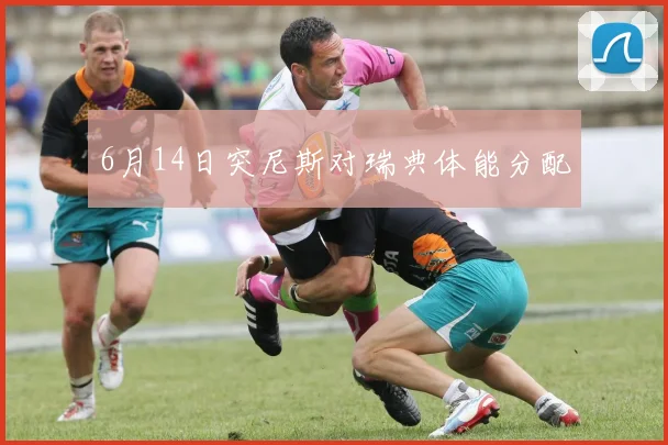 6月14日突尼斯对瑞典体能分配