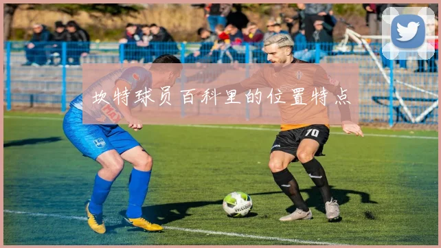 坎特球员百科里的位置特点