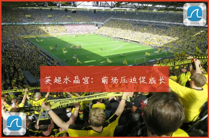 英超水晶宫：前场压迫促成长