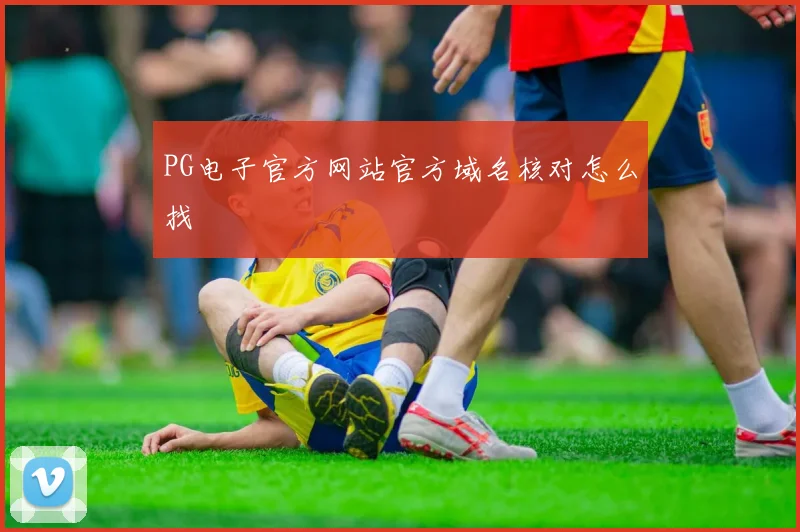 PG电子官方网站官方域名核对怎么找