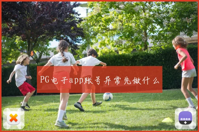 PG电子app账号异常先做什么